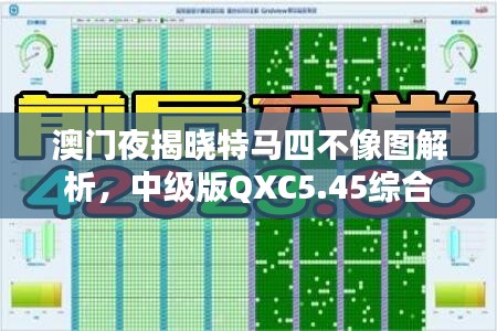 澳门夜揭晓特马四不像图解析，中级版QXC5.45综合攻略