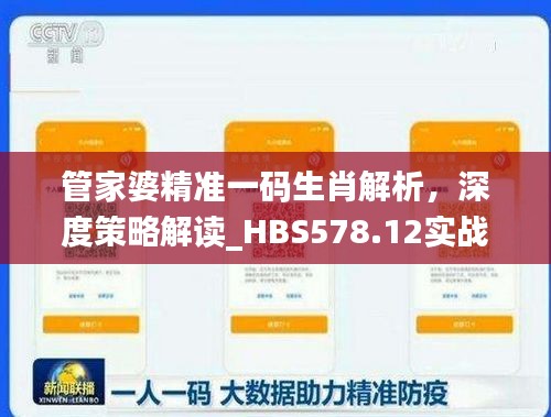 管家婆精准一码生肖解析，深度策略解读_HBS578.12实战版