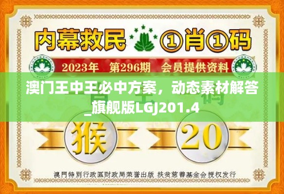 澳门王中王必中方案，动态素材解答_旗舰版LGJ201.4