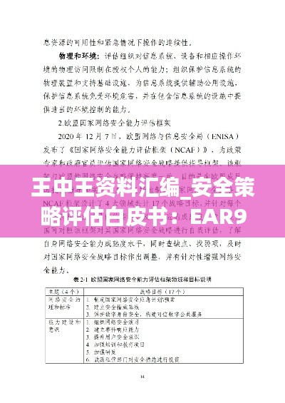 王中王资料汇编_安全策略评估白皮书：EAR949.91版