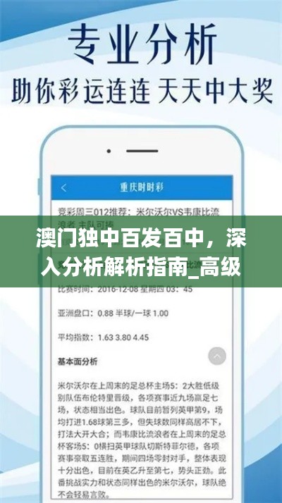 澳门独中百发百中，深入分析解析指南_高级版VLK647.14