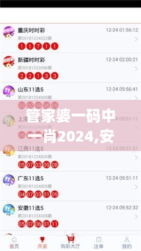 管家婆一码中一肖2024,安全设计策略解析_公开版465.61