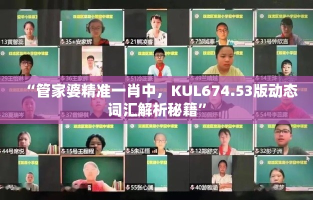 “管家婆精准一肖中，KUL674.53版动态词汇解析秘籍”