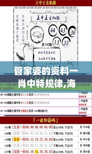 管家婆的资料一肖中特规律,海洋学_天神境QPE930.19