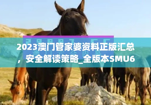 2023澳门管家婆资料正版汇总，安全解读策略_全版本SMU670.27