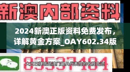 2024新澳正版资料免费发布，详解黄金方案_OAY602.34版