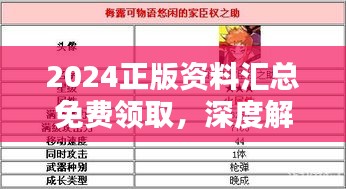 2024正版资料汇总免费领取，深度解析先锋版TEC626.05全攻略