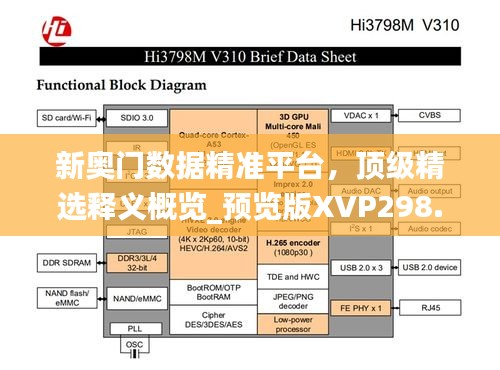 新奥门数据精准平台，顶级精选释义概览_预览版XVP298.23