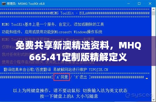 免费共享新澳精选资料，MHQ665.41定制版精解定义