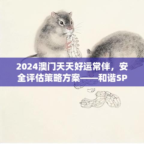 2024澳门天天好运常伴，安全评估策略方案——和谐SPA134.07版