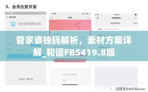 管家婆独码解析，素材方案详解_和谐FBS419.8版