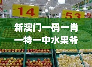 新澳门一码一肖一特一中水果爷爷,军队指挥学_ABG708.65主宰境