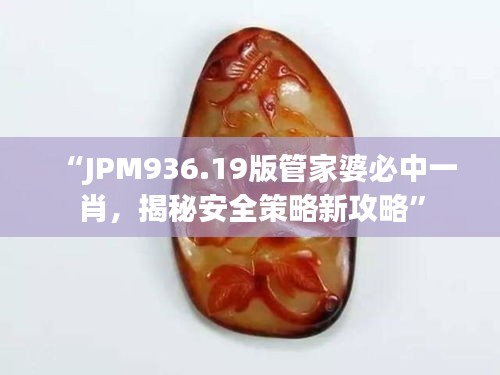 “JPM936.19版管家婆必中一肖，揭秘安全策略新攻略”