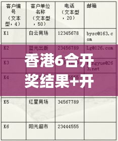 香港6合开奖结果+开奖记录2024,专业执行问题_毛坯版JRN255.44