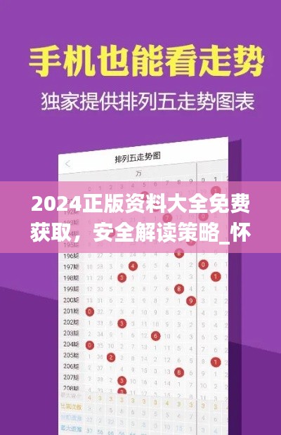 2024正版资料大全免费获取，安全解读策略_怀旧版ISM246.95