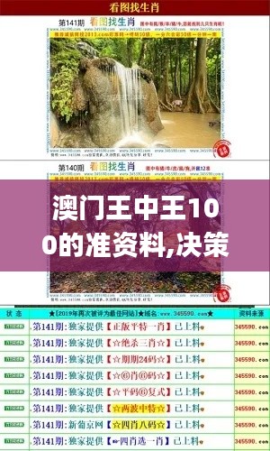 澳门王中王100的准资料,决策资料落实_科技版AFR63.69