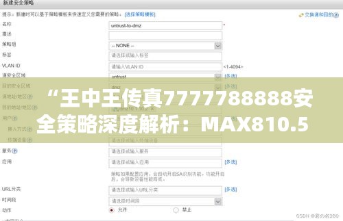 “王中王传真7777788888安全策略深度解析：MAX810.56经典版揭秘”