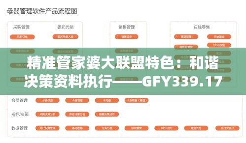 精准管家婆大联盟特色：和谐决策资料执行——GFY339.17