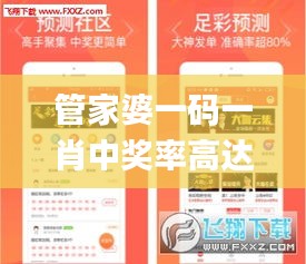 管家婆一码一肖中奖率高达100%，全面评估标准详解_MUG739.67普及版