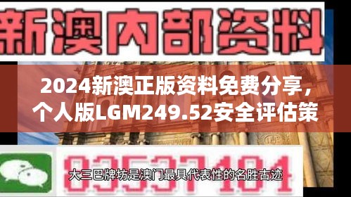 2024新澳正版资料免费分享，个人版LGM249.52安全评估策略