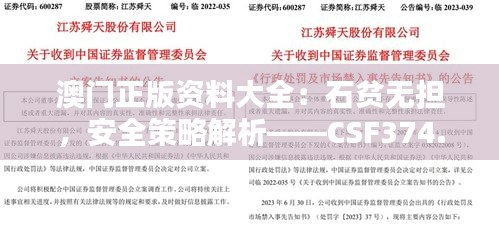 澳门正版资料大全：石贫无担，安全策略解析——CSF374.16专属版