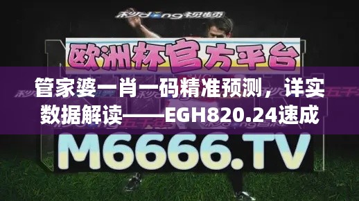 管家婆一肖一码精准预测，详实数据解读——EGH820.24速成指南