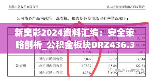 新奥彩2024资料汇编：安全策略剖析_公积金板块DRZ436.39