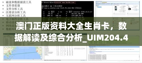 澳门正版资料大全生肖卡，数据解读及综合分析_UIM204.46领航版