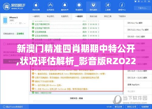 新澳门精准四肖期期中特公开,状况评估解析_影音版RZO228.97