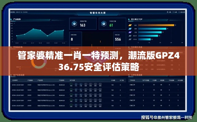 管家婆精准一肖一特预测，潮流版GPZ436.75安全评估策略
