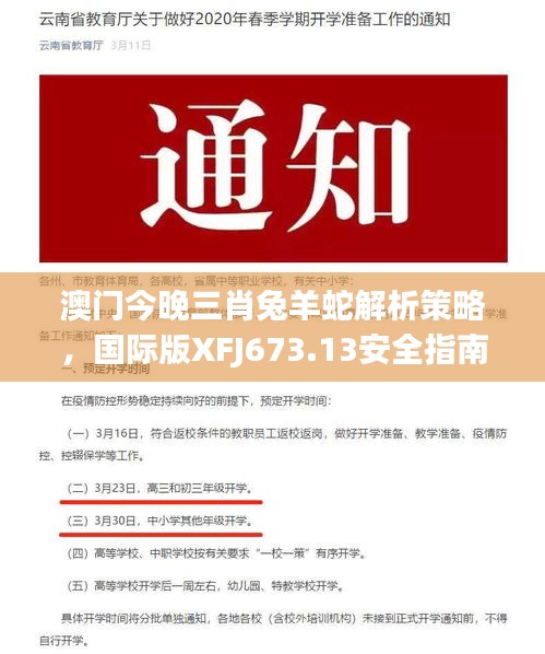 澳门今晚三肖兔羊蛇解析策略，国际版XFJ673.13安全指南