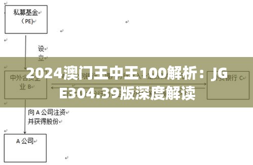 2024澳门王中王100解析：JGE304.39版深度解读