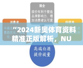 “2024新奥体育资料精准正版解析，NUS304.76版安全策略详解”