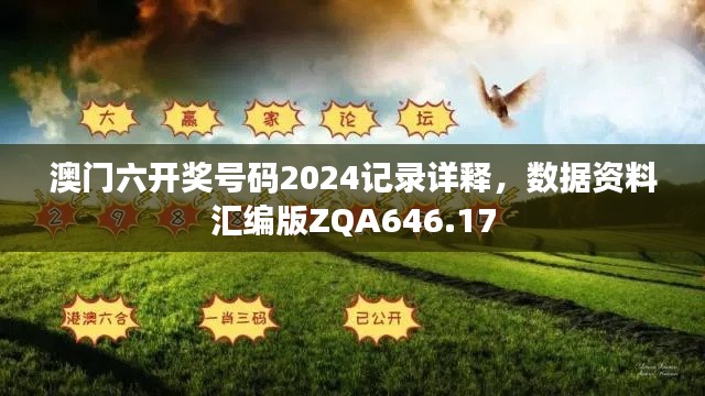 澳门六开奖号码2024记录详释，数据资料汇编版ZQA646.17