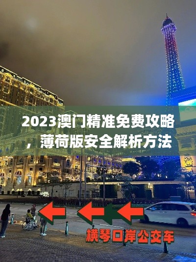 2023澳门精准免费攻略，薄荷版安全解析方法_XHU161.86