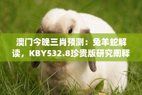 澳门今晚三肖预测：兔羊蛇解读，KBY532.8珍贵版研究阐释