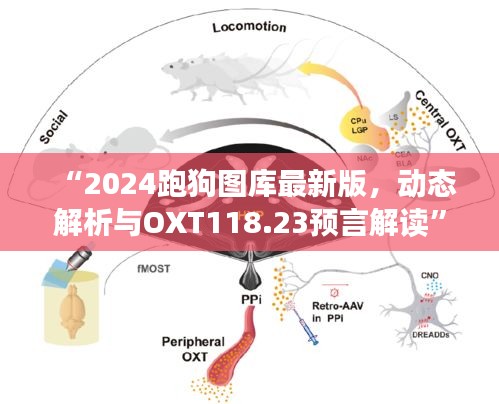 “2024跑狗图库最新版，动态解析与OXT118.23预言解读”