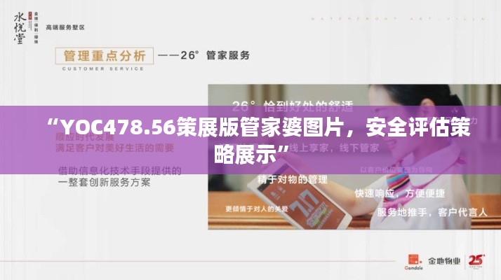 “YOC478.56策展版管家婆图片，安全评估策略展示”