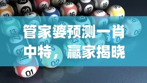 管家婆预测一肖中特，赢家揭晓及解析_YAN389.78