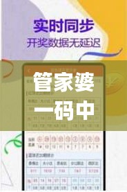 管家婆一码中一肖2024,安全解析方案_简便版559.57