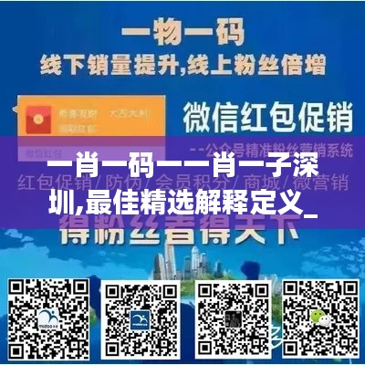 一肖一码一一肖一子深圳,最佳精选解释定义_仙神境RYM695.98