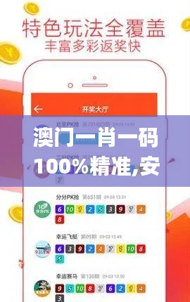 澳门一肖一码100%精准,安全评估策略_漏出版TYW581.45