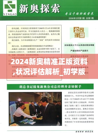 2024新奥精准正版资料,状况评估解析_初学版IMP646.27