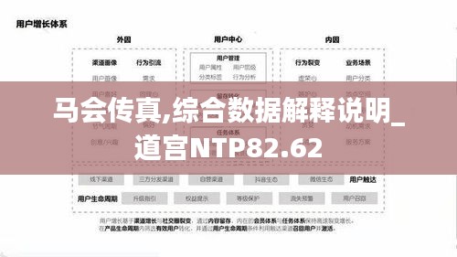 马会传真,综合数据解释说明_道宫NTP82.62