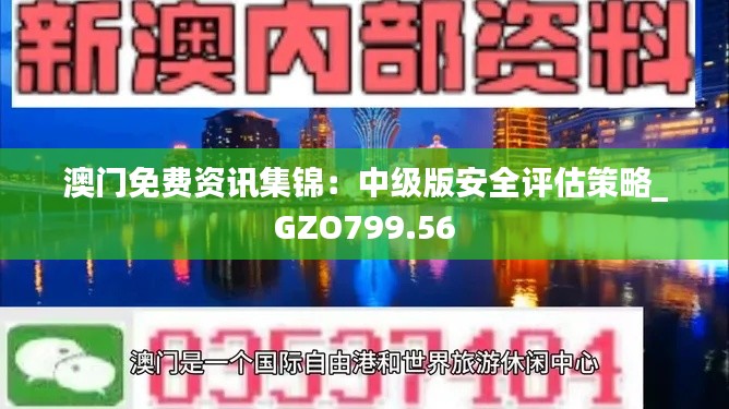 澳门免费资讯集锦：中级版安全评估策略_GZO799.56