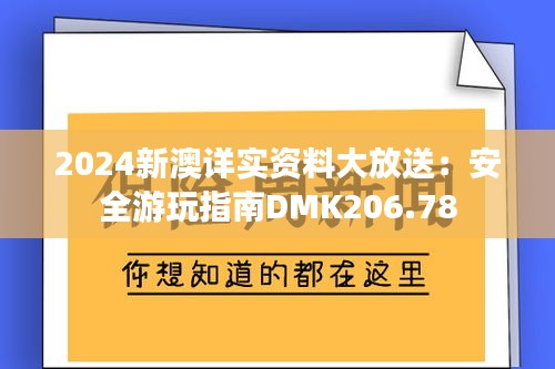 2024新澳详实资料大放送：安全游玩指南DMK206.78