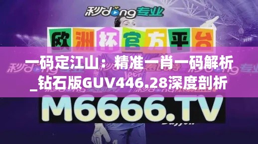 一码定江山：精准一肖一码解析_钻石版GUV446.28深度剖析