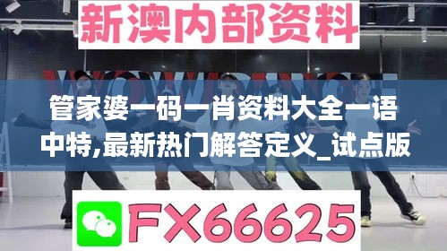 管家婆一码一肖资料大全一语中特,最新热门解答定义_试点版GAP223.12