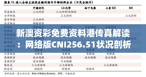 新澳资彩免费资料港传真解读：网络版CNI256.51状况剖析