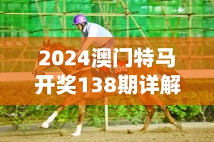 2024澳门特马开奖138期详解，精选解析版VTS954.3